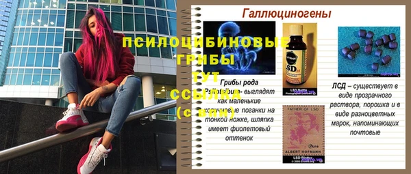 каннабис Аркадак