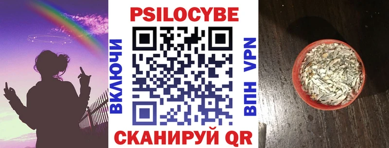 Псилоцибиновые грибы Psilocybine cubensis  Рыльск 